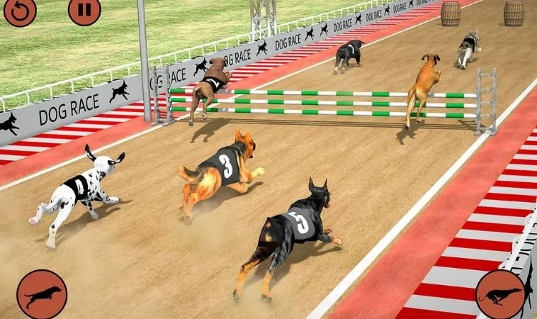 Cách chơi game nhanh Đua Chó tại 100Win